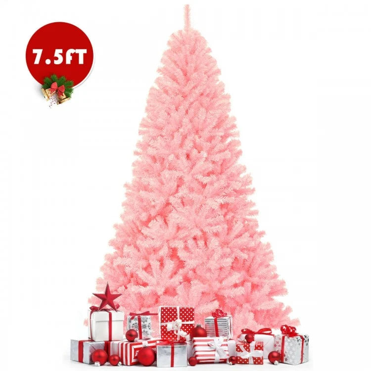 Snowy Splendor Fir