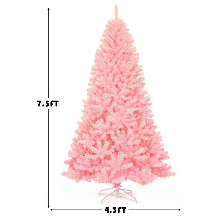 Snowy Splendor Fir