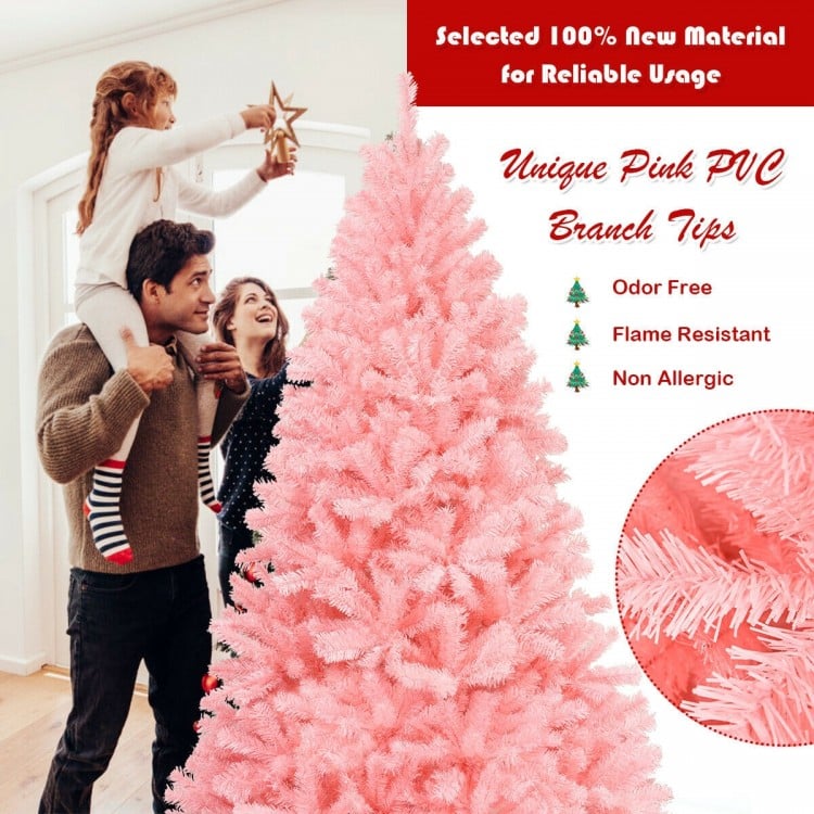 Snowy Splendor Fir