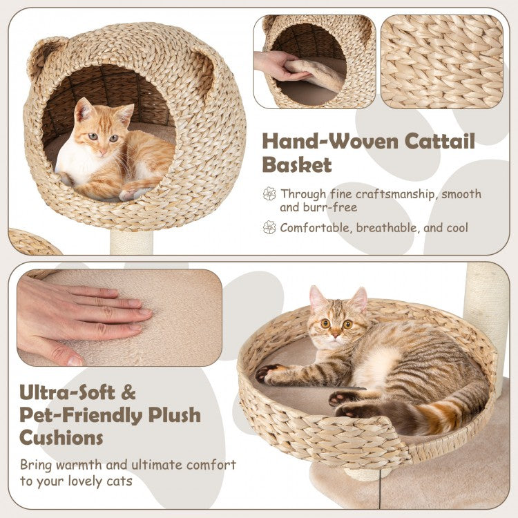 Fun Activity Cat Tree