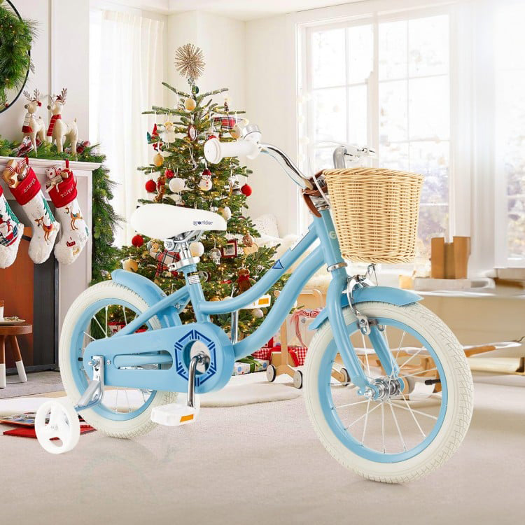 Blue JuniorZoom Bike