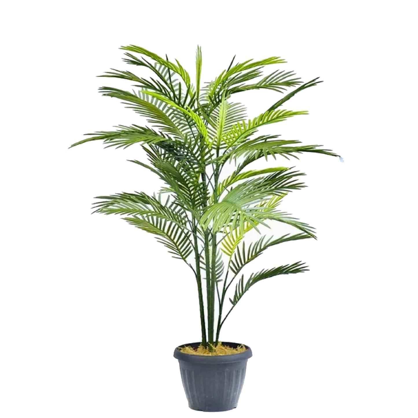 Robellini Palm 58' Artificial Plant