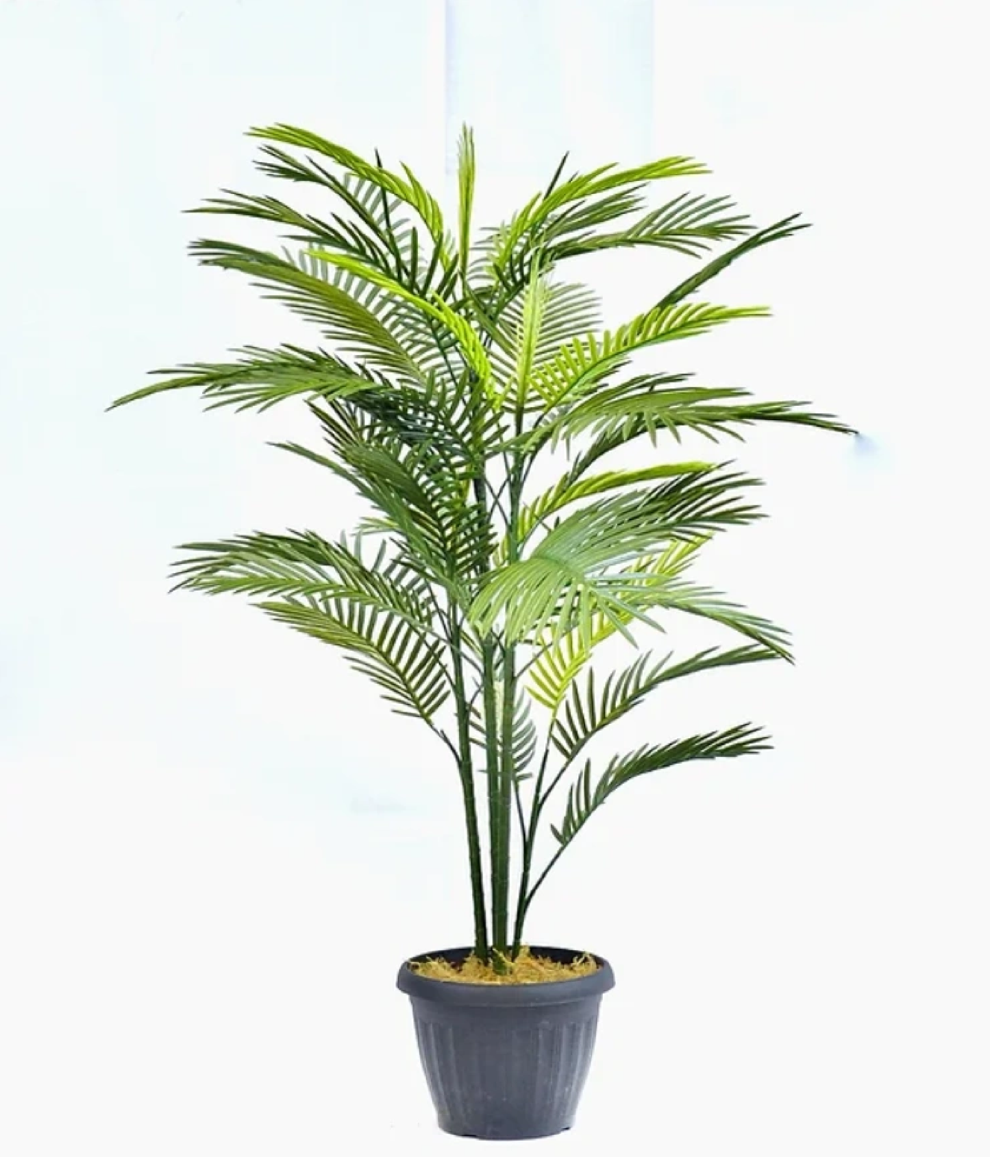 Robellini Palm 58' Artificial Plant