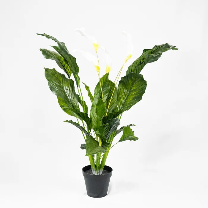 Spathiphyllum Plant 36' Artificial Plant