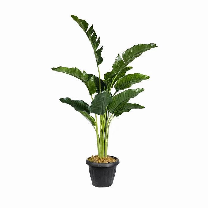 Traveller's Palm 60' Artificial Plant