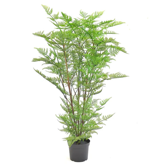 Australian Fern 50' Artificial Plant