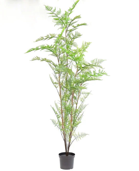 Australian Fern 72' Artificial Plant