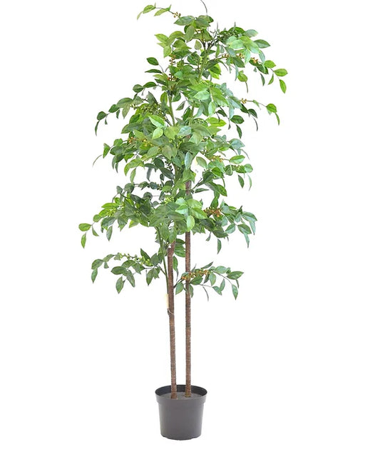 Coffee Tree 60' Artificial Plant